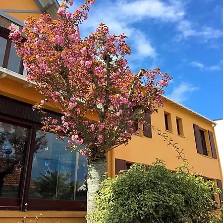 Le Richelieu 3* Сен-Жан-де-Мон